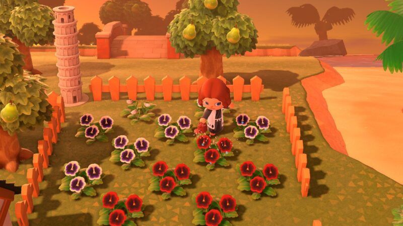 Come far crescere i fiori in Animal Crossing