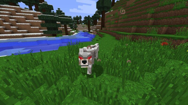 Come difendersi, riconoscere e domare i lupi in Minecraft