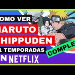 Naruto Shippuden Stagione 6 Netflix