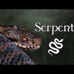 Cosa significa il serpente in stregoneria